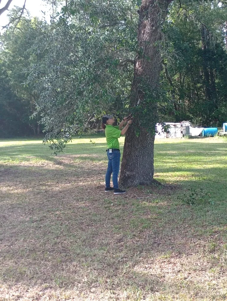 Local yard maintenance in Moss Point, MS - Austin's Mean Green Lawn Solutions