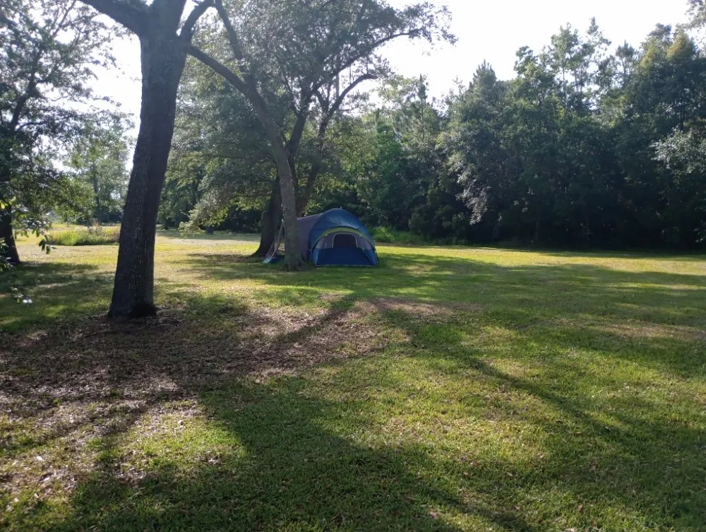 Professional yard maintenance experts serving Moss Point, MS - Austin's Mean Green Lawn Solutions