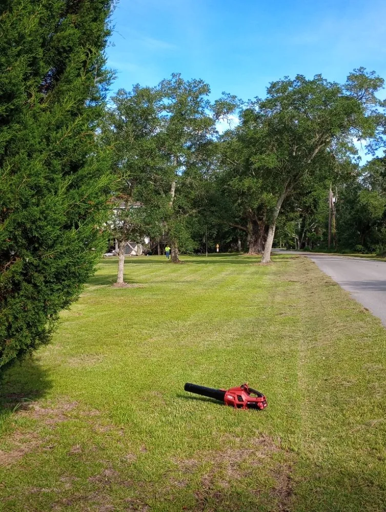 Custom residential landscaping for beautiful yards across Moss Point, MS - Austin's Mean Green Lawn Solutions