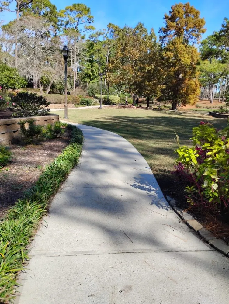 Trusted yard maintenance in Wilmington, NC by Austin's Outdoor Work