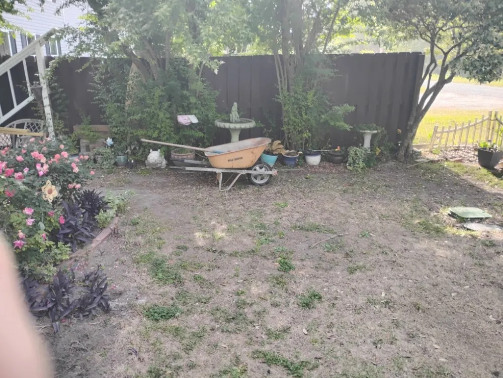 Expert lawn mowing service in Wilmington, NC by Austin's Outdoor Work