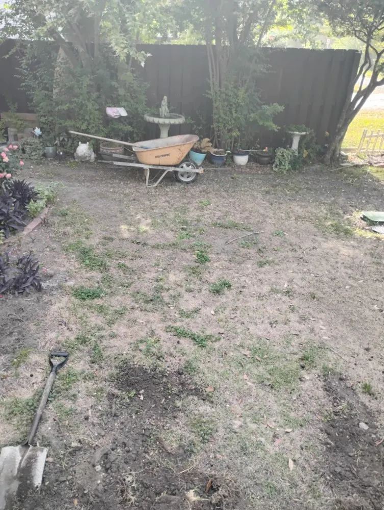 Trusted yard cleanup service in Wilmington, NC - Austin's Outdoor Work