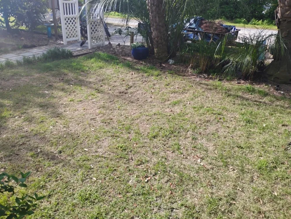 Professional landscape design for homes across Wilmington, NC - Austin's Outdoor Work