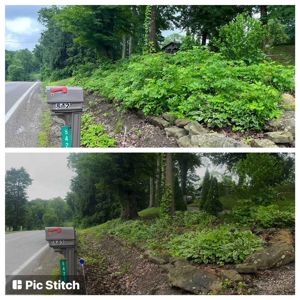 Expert residential landscaping for year-round maintenance in Lancaster, OH by Austin’s property services