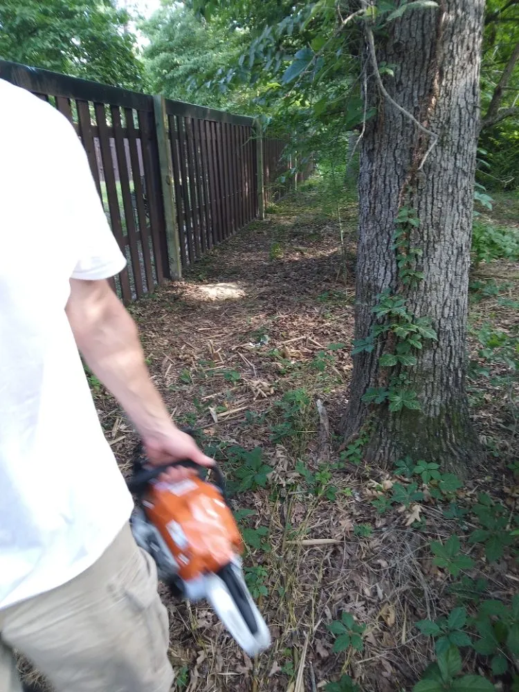 Expert garden landscaping in Cartwright, OK - Austins Tree