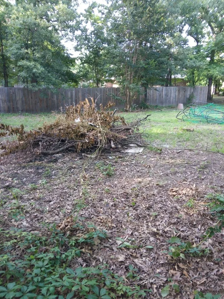 Custom landscape design for residential properties in Cartwright, OK by Austins Tree