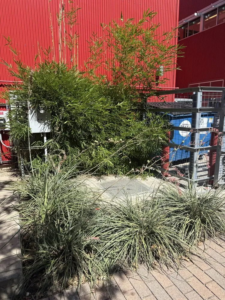 Affordable residential landscaping in Austin, TX by Austinscapes