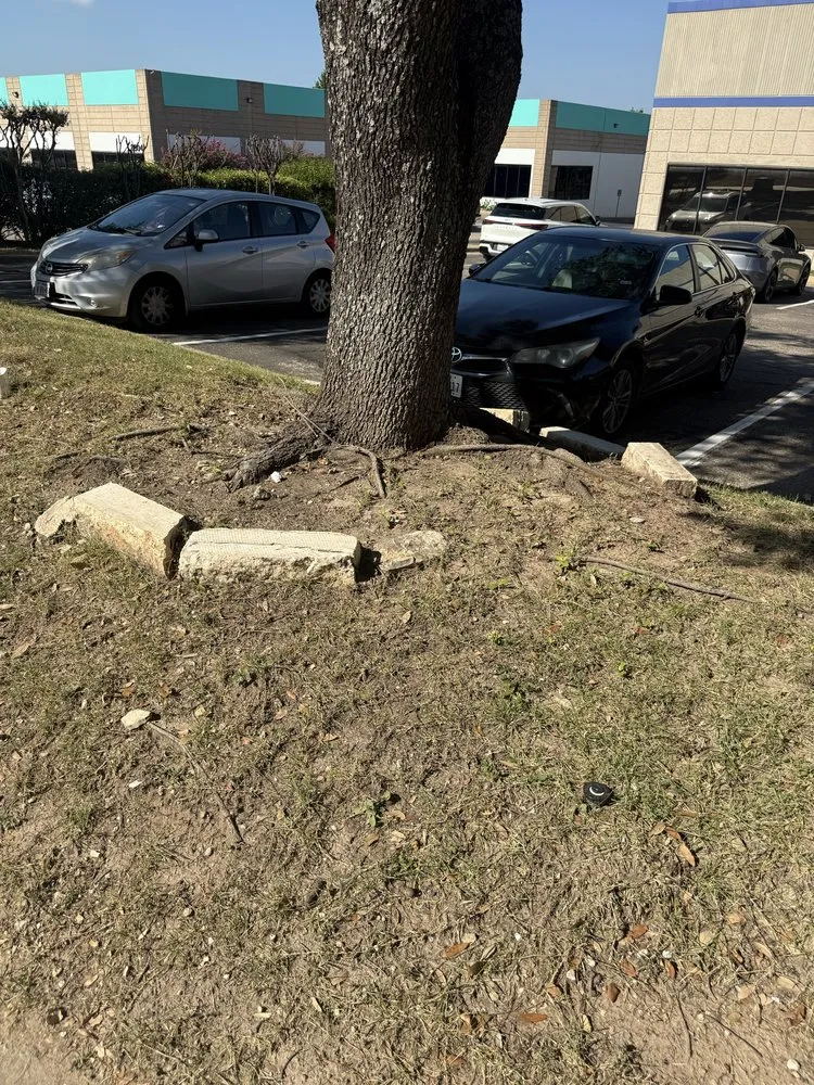 Trusted residential landscaping in Austin, TX by Austinscapes