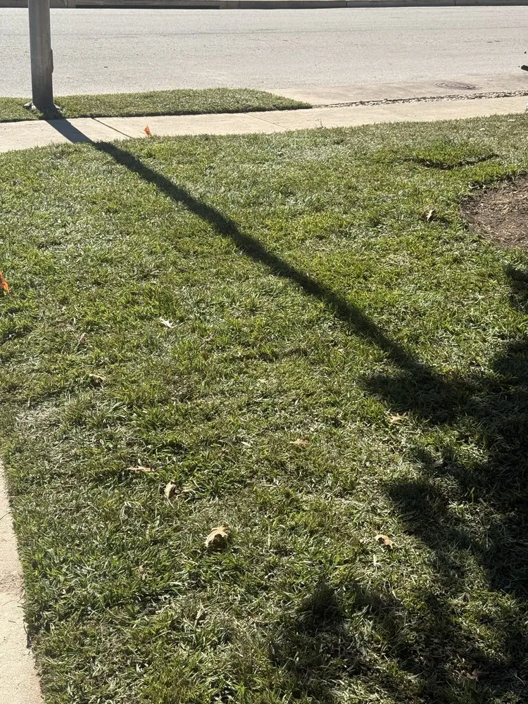 Expert landscape installation in Austin, TX - Austinscapes