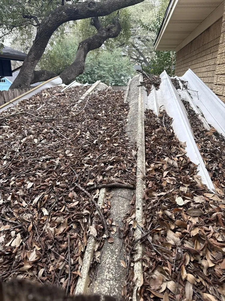 Reliable landscaping services in Austin, TX - Austinscapes