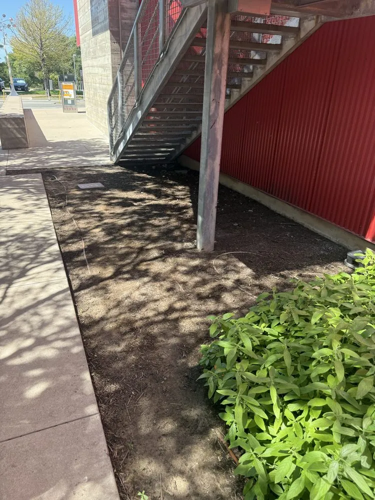 Expert residential landscaping in Austin, TX - Austinscapes