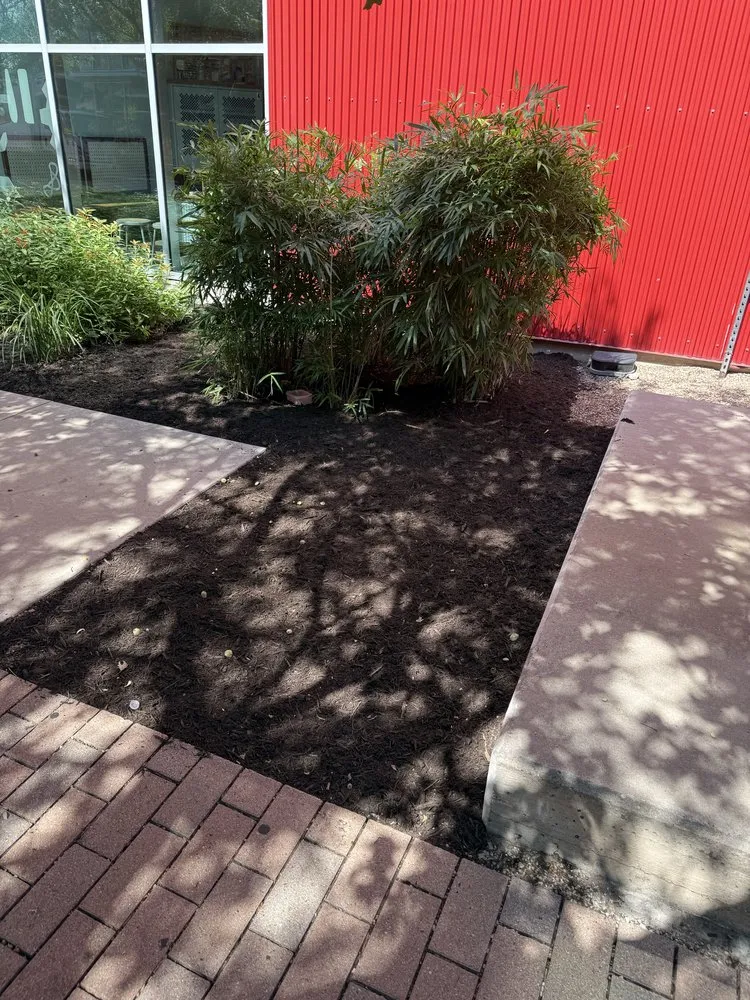 Local yard maintenance experts serving Austin, TX - Austinscapes