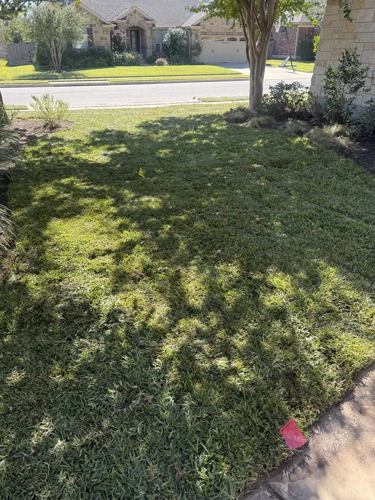 Local yard maintenance experts serving Austin, TX - Austinscapes