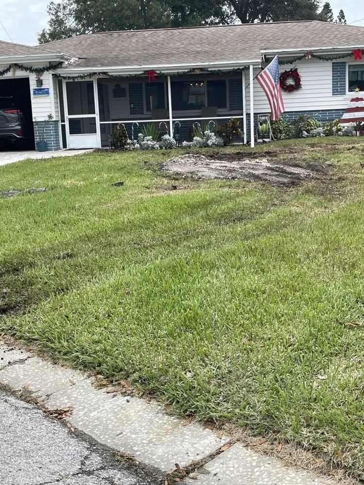 Top-rated landscape installation experts serving Seminole, FL - Auten Landscaping