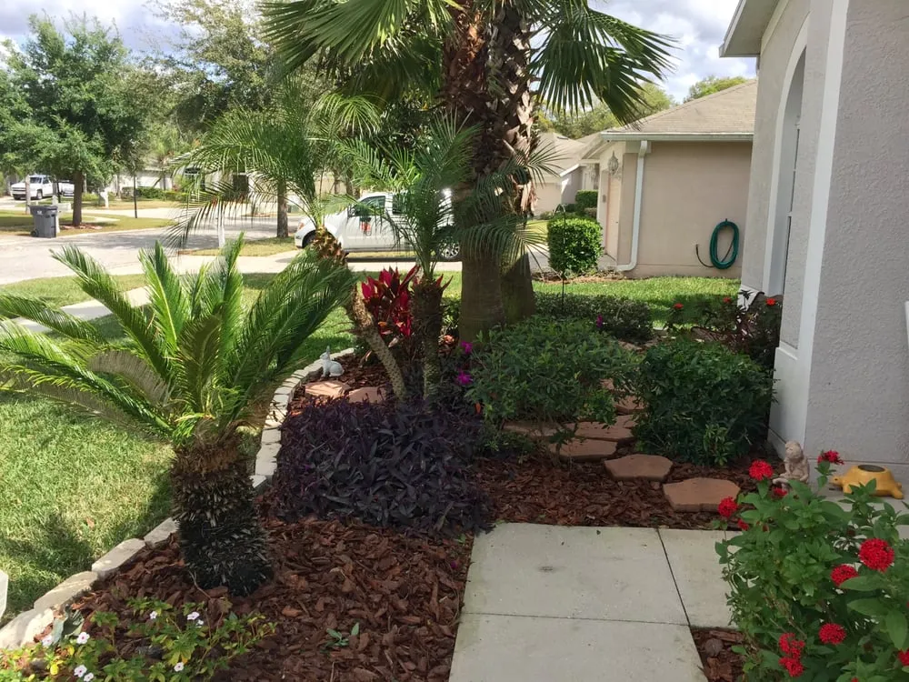 Local landscape design experts serving Brandon, FL - Authentic Custom Services