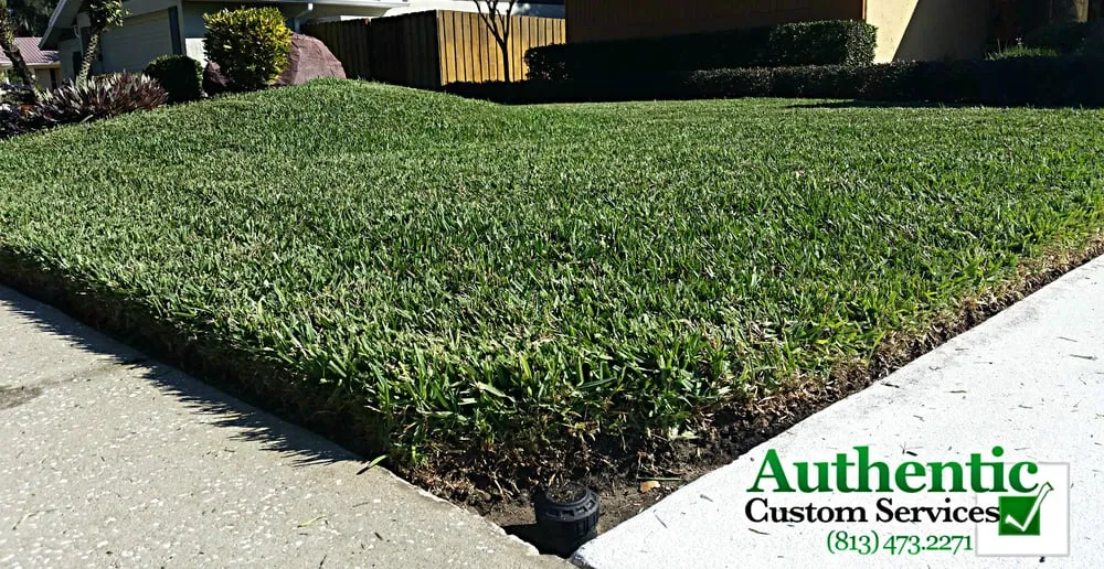 Trusted residential landscaping for beautiful yards across Brandon, FL - Authentic Custom Services