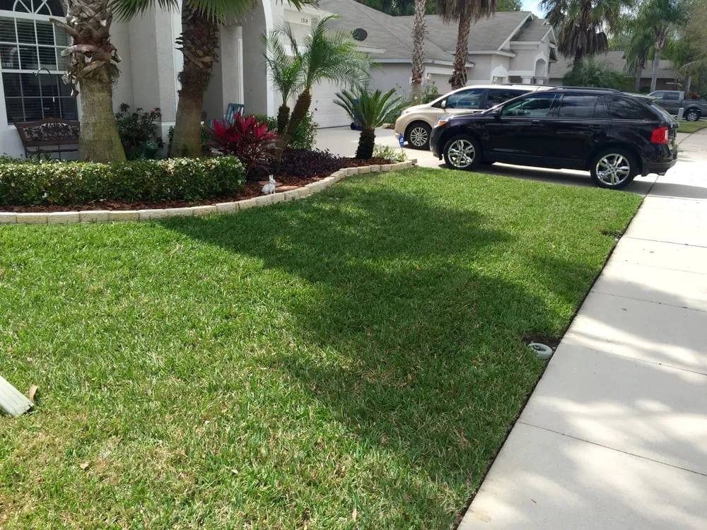 Local yard cleanup service in Brandon, FL - Authentic Custom Services