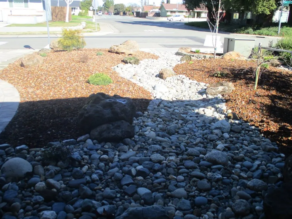 Expert landscaping services for homes across Elk Grove, CA - Authentic Gardens