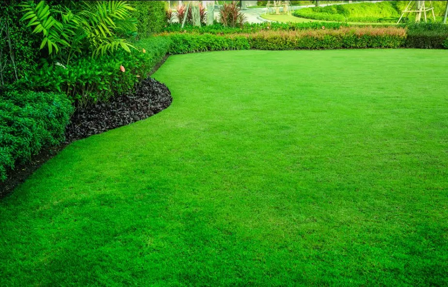 Reliable landscaping services near you in Elk Grove, CA by Authentic Gardens