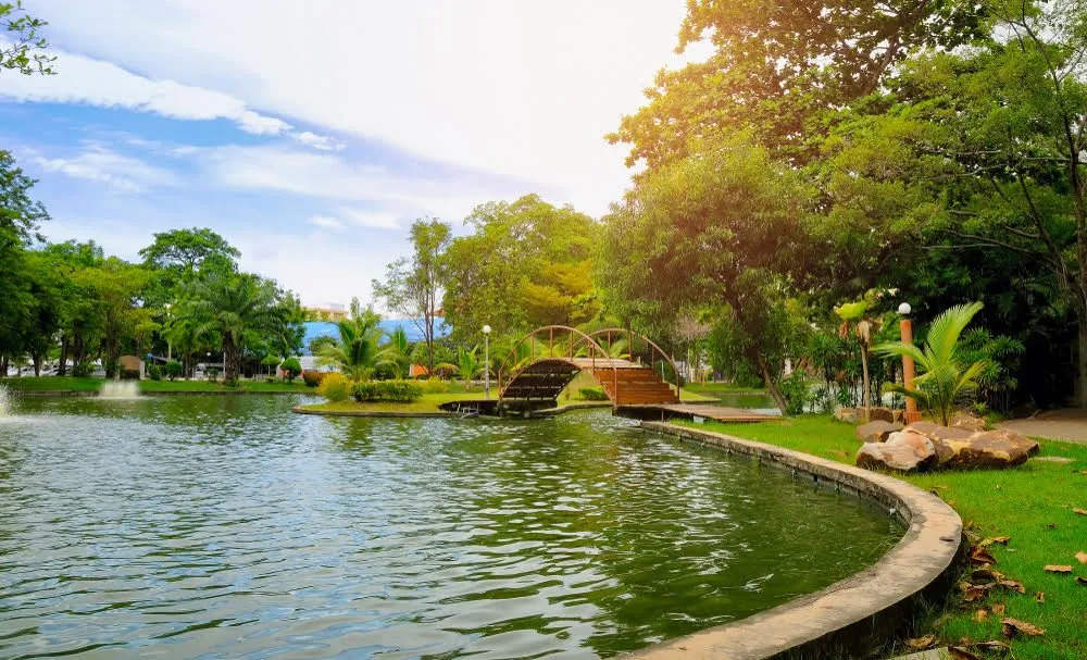 Affordable landscape design for residential properties across Elk Grove, CA - Authentic Gardens