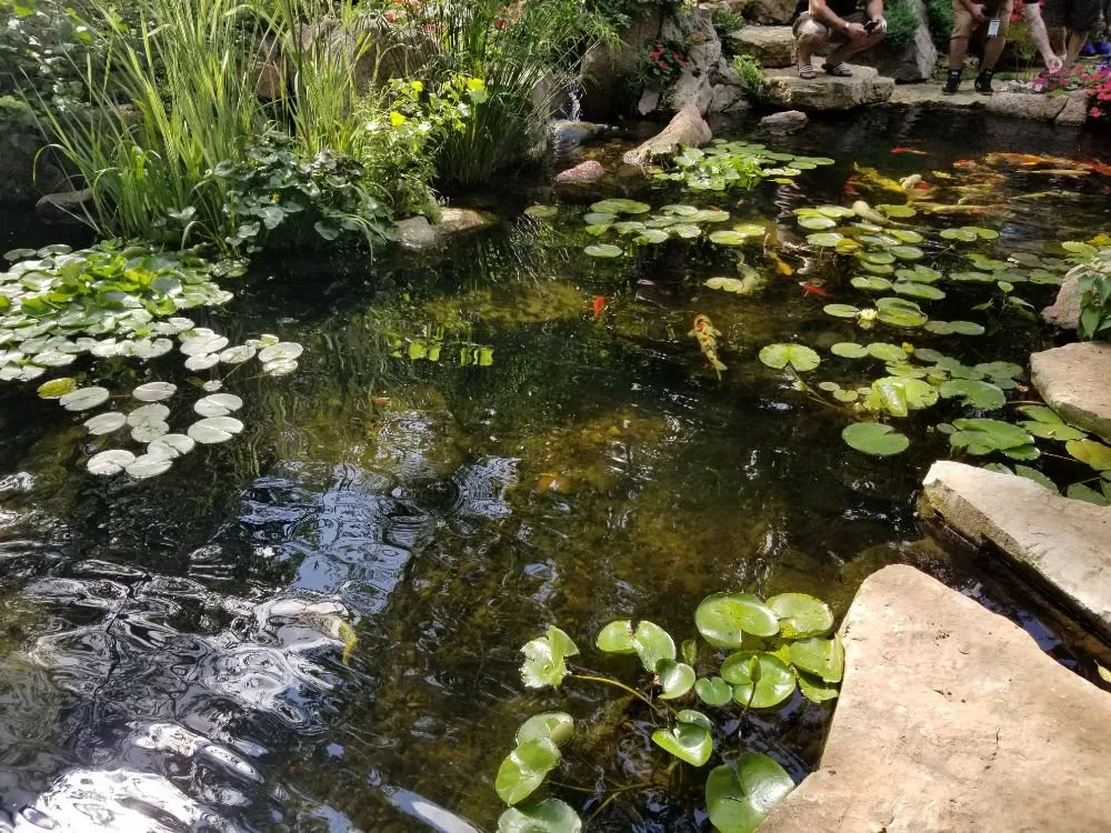 Trusted garden landscaping in Denver, PA by Authentic Homescapes