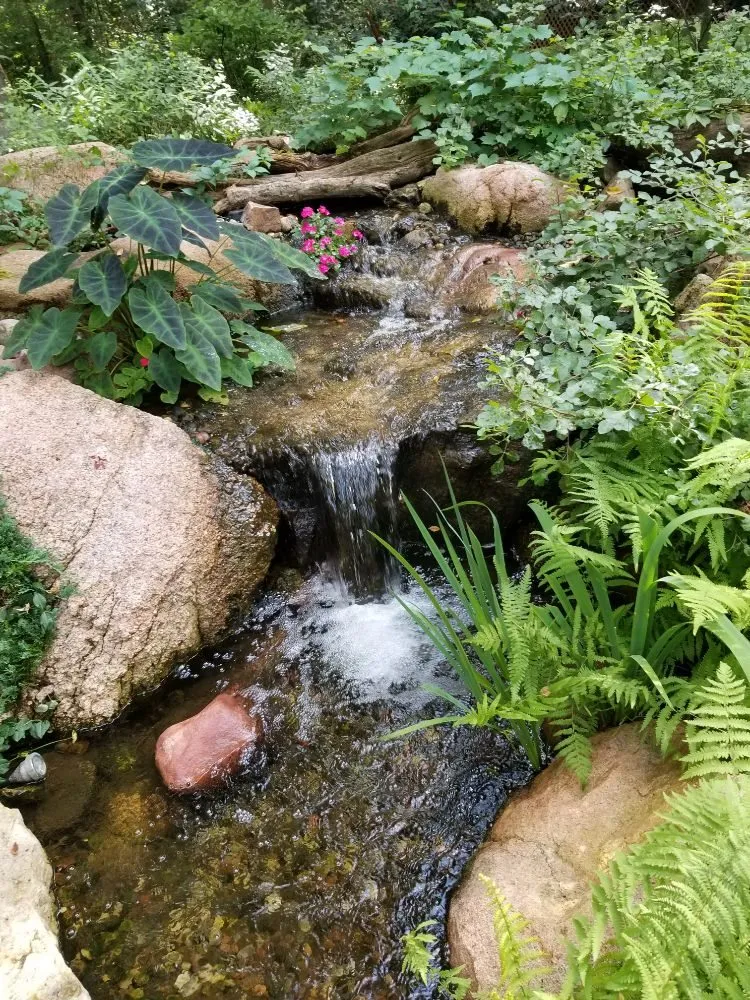 Trusted landscaping services for year-round maintenance in Denver, PA by Authentic Homescapes