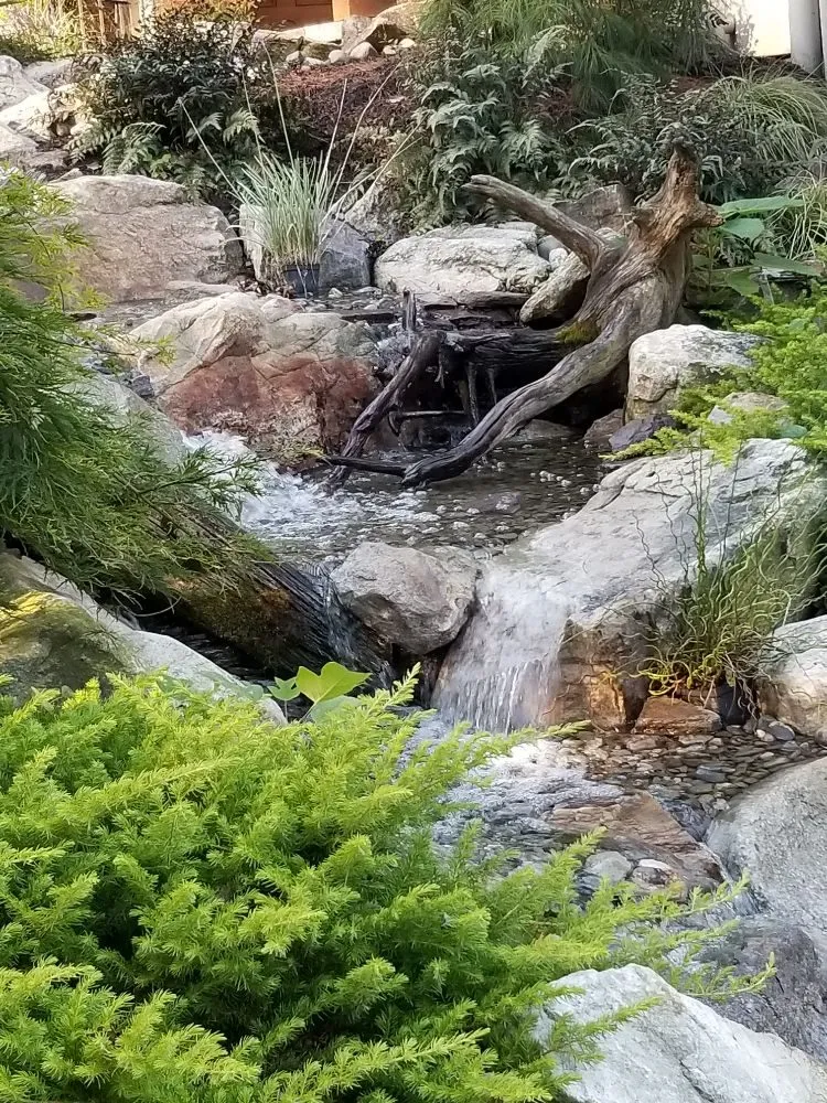 Local yard maintenance in Denver, PA by Authentic Homescapes