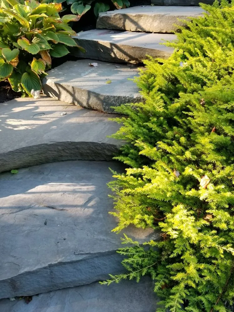 Trusted landscaping services for homes in Denver, PA by Authentic Homescapes