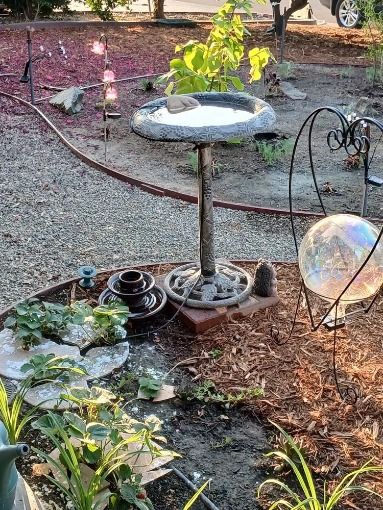 Trusted lawn mowing service in Sacramento, CA by Authentic Landscape