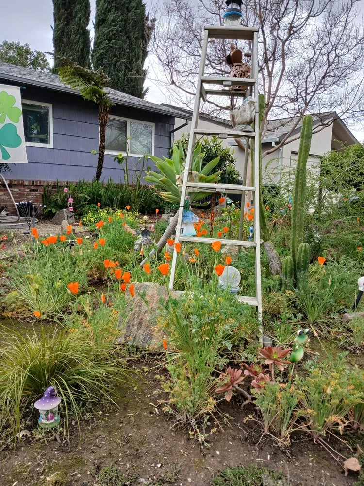 Local yard maintenance experts serving Sacramento, CA - Authentic Landscape