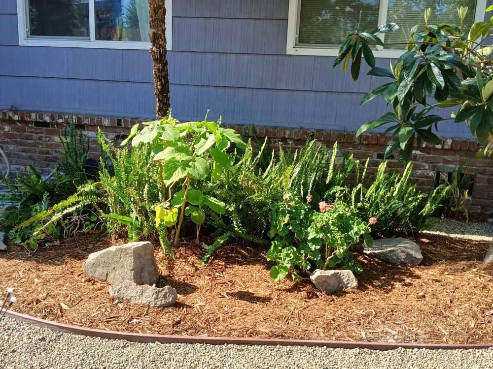 Local garden landscaping for outdoor upgrades across Sacramento, CA - Authentic Landscape