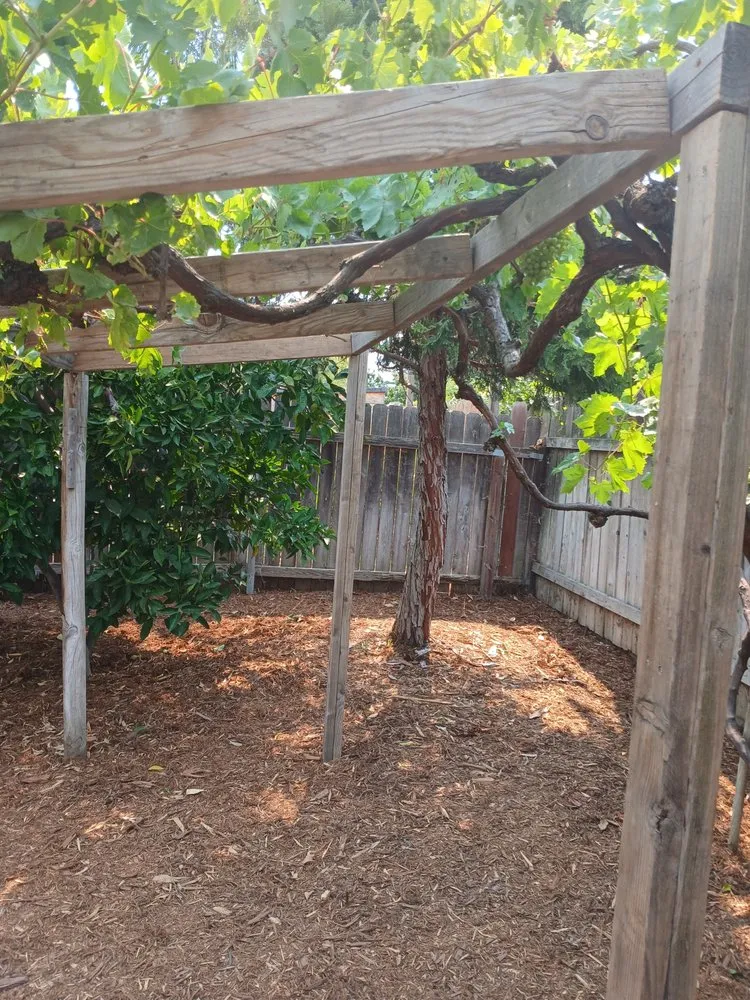 Expert landscaping services for residential properties in Sacramento, CA by Authentic Landscape