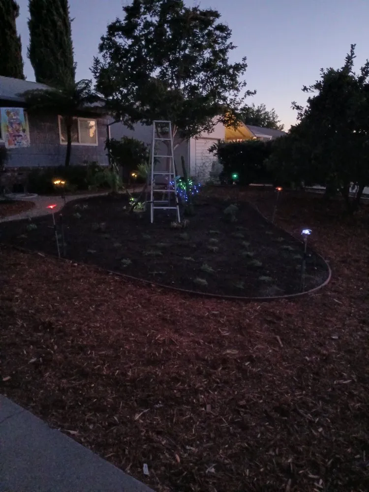 Reliable landscape design in Sacramento, CA by Authentic Landscape