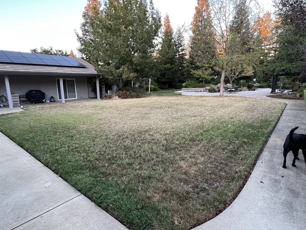 Top-rated landscape design in Sacramento, CA - Authentic Landscape