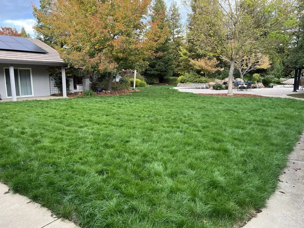 Trusted landscaping services for beautiful yards in Sacramento, CA by Authentic Landscape