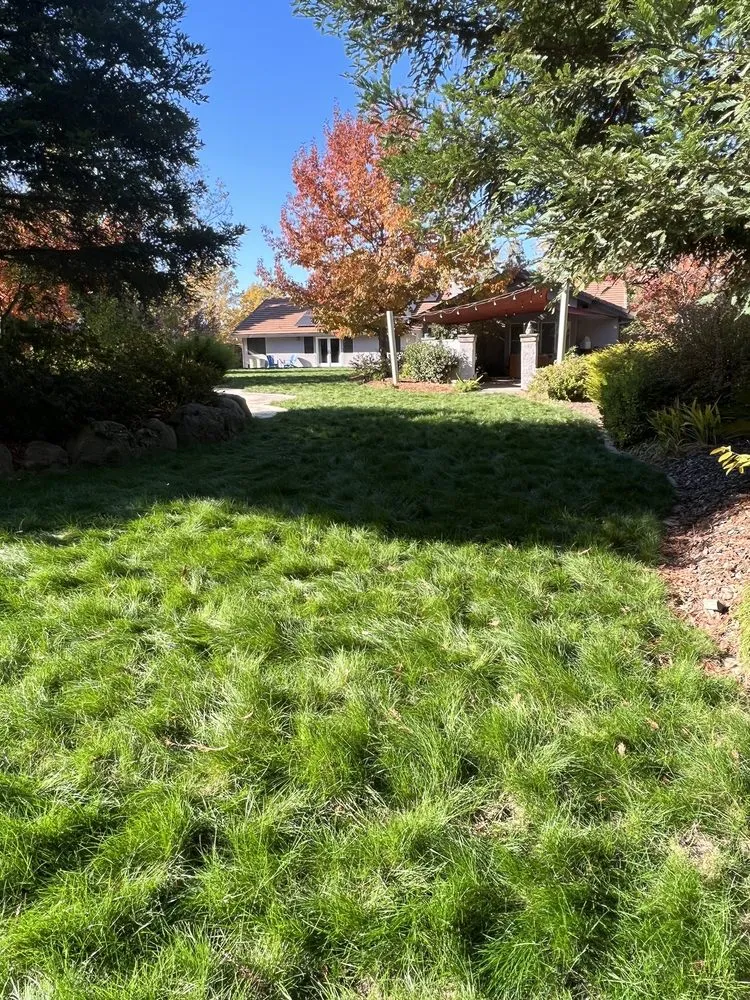 Custom garden landscaping with custom design across Sacramento, CA - Authentic Landscape