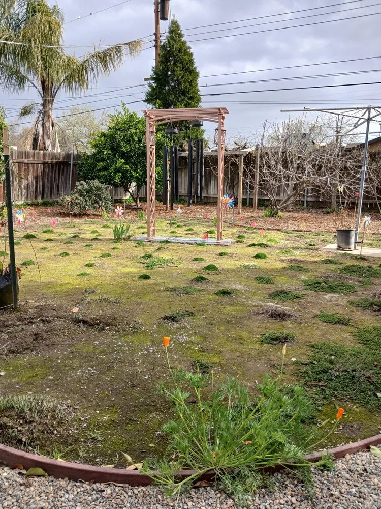 Expert landscape design experts serving Sacramento, CA - Authentic Landscape