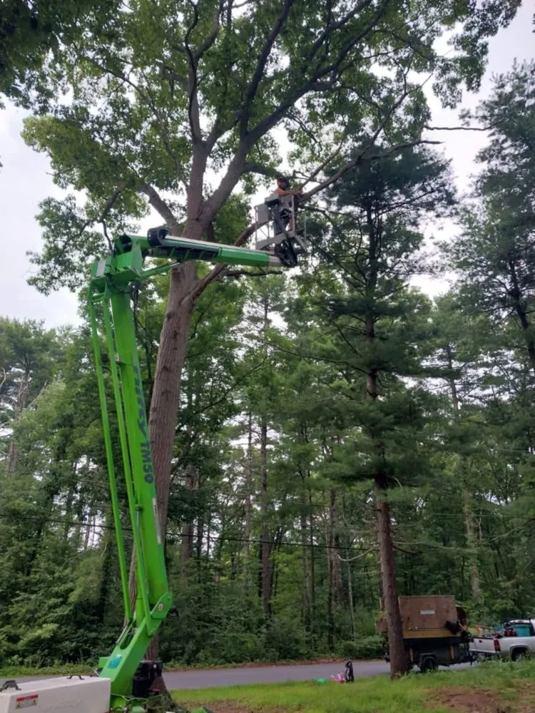 Expert garden landscaping for outdoor upgrades in East Providence, RI by Authentic Landscaping