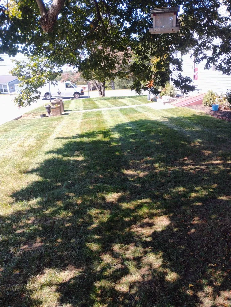 Top-rated yard cleanup service in East Providence, RI - Authentic Landscaping