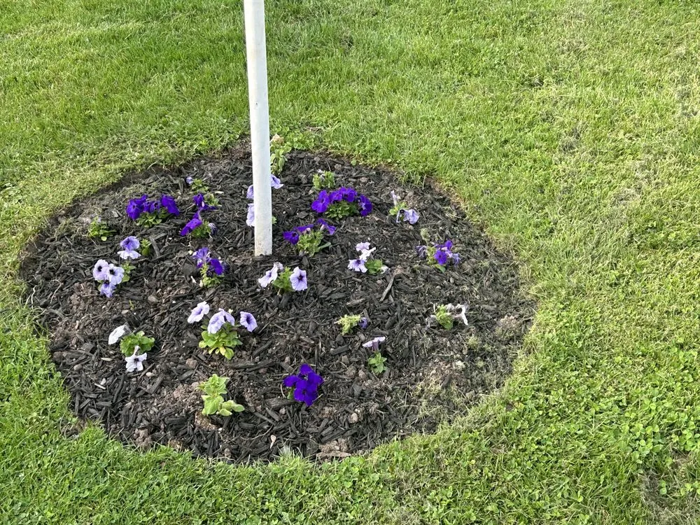 Expert yard cleanup service experts serving Medina, NY - Authentic Lawn Care