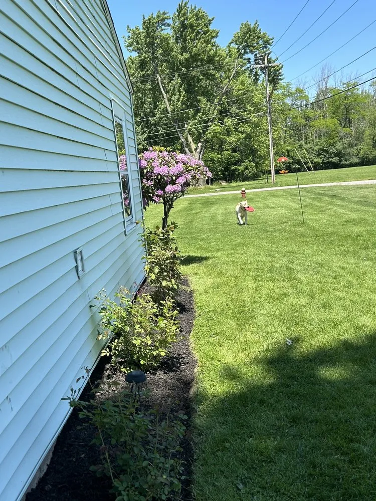 Professional yard maintenance for year-round maintenance across Medina, NY - Authentic Lawn Care