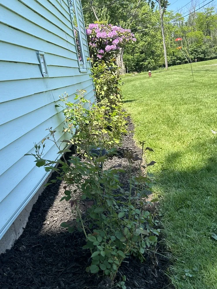 Professional lawn care service in Medina, NY - Authentic Lawn Care