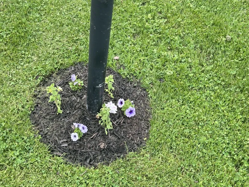 Expert outdoor landscaping for year-round maintenance across Medina, NY - Authentic Lawn Care