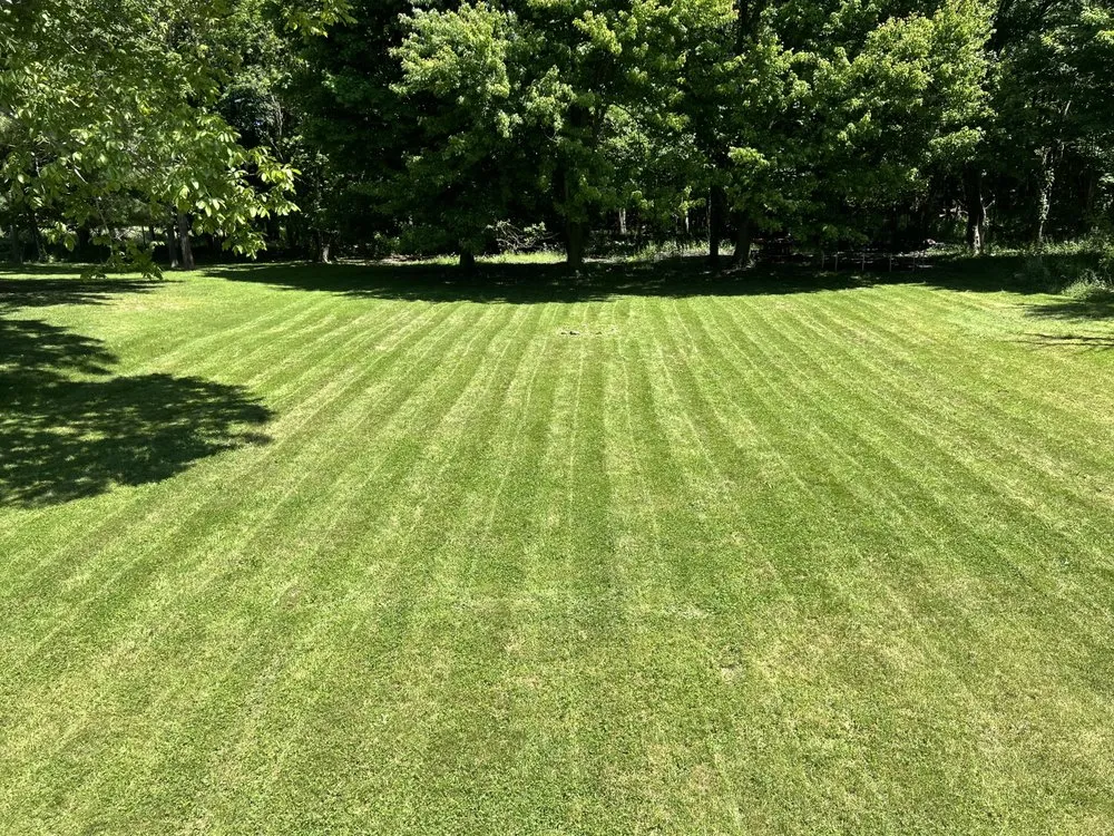 Top-rated yard cleanup service for residential properties across Medina, NY - Authentic Lawn Care