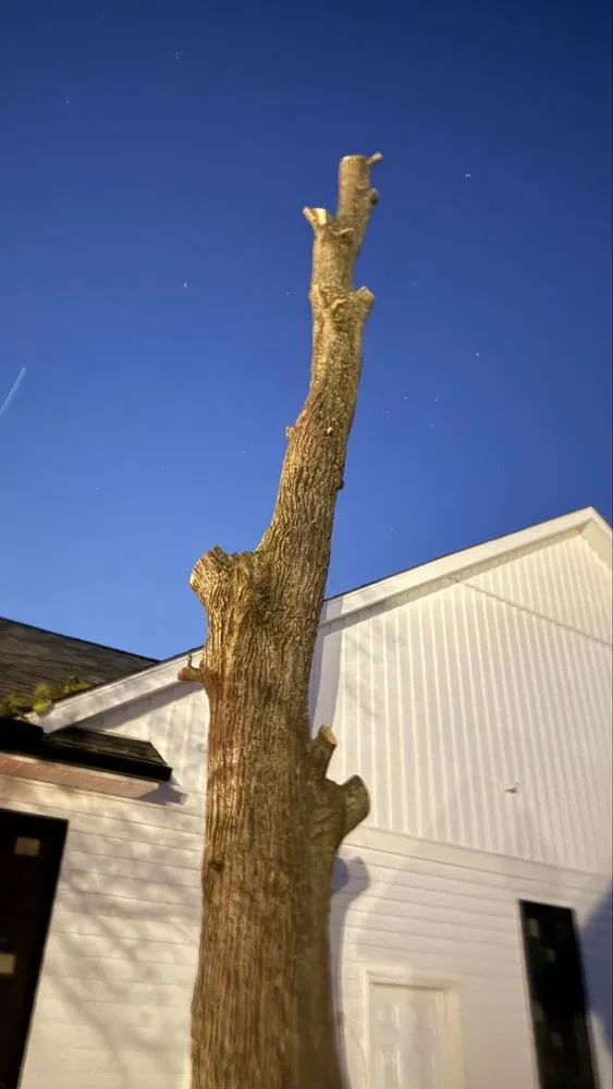 Professional outdoor landscaping in Goshen, OH by Authentic Scapes