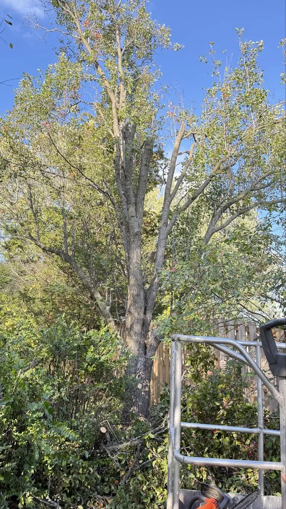 Custom outdoor landscaping for residential properties across Goshen, OH - Authentic Scapes