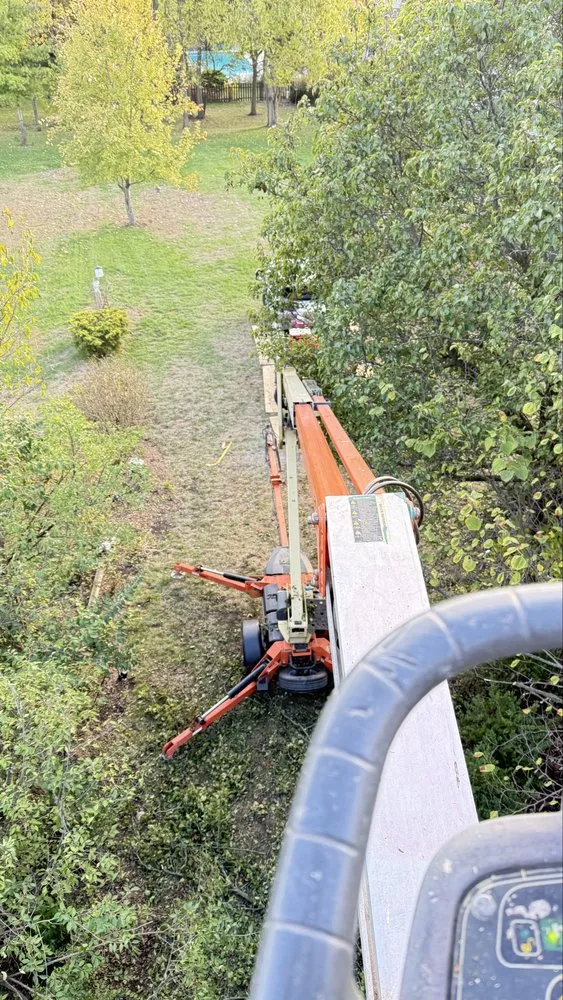 Reliable yard maintenance in Goshen, OH - Authentic Scapes