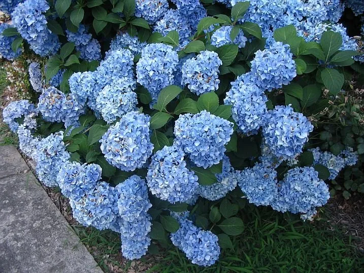 Top-rated landscape installation in Waldorf, MD - Authentic Seasonal Services