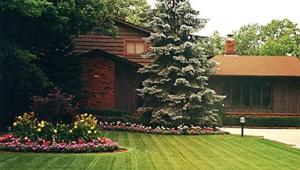 Trusted landscape design in Waldorf, MD - Authentic Seasonal Services
