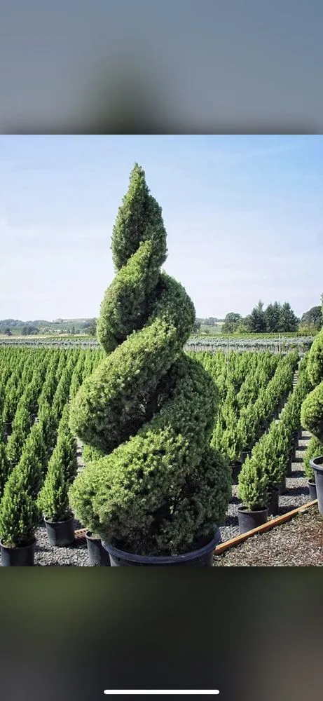 Top-rated landscape installation in Waldorf, MD by Authentic Seasonal Services